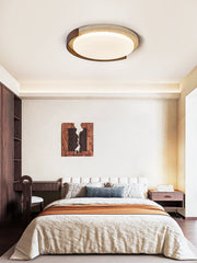 Terra Orbit Ceiling Light