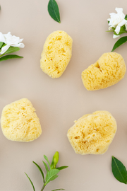 Face Sea Sponge - 4 Pack Bundle