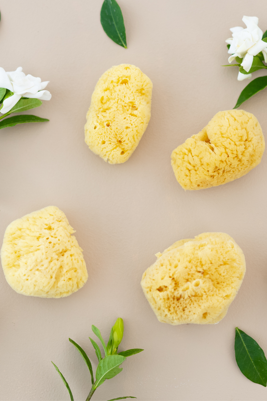 Face Sea Sponge - 4 Pack Bundle
