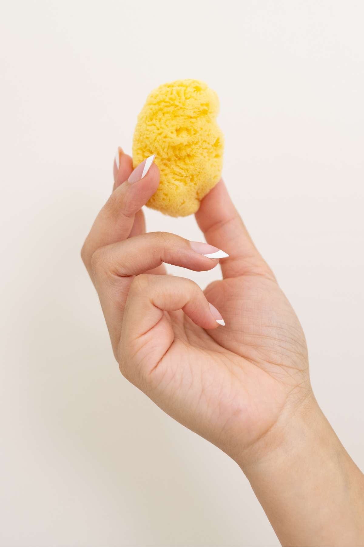 Face Sea Sponge - 4 Pack Bundle
