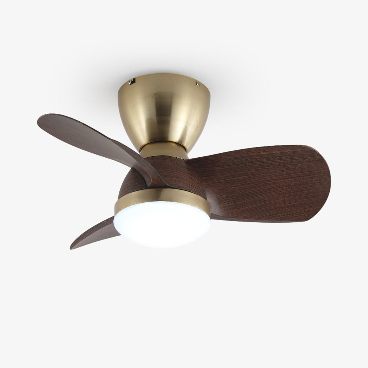 Velis Ceiling Fan Light