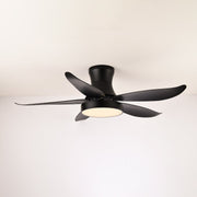 Zephyr Noir Ceiling Fan Light
