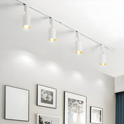 Black Tubular Track LED Semi-Flush Mount Light 5-Light