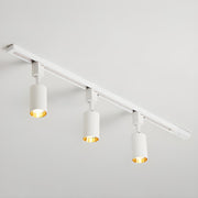Black Tubular Track LED Semi-Flush Mount Light 5-Light