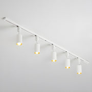 Black Tubular Track LED Semi-Flush Mount Light 5-Light