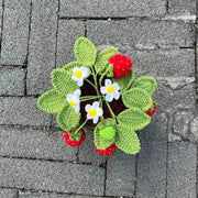 Crochet Potted Strawberry Bush