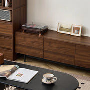 Dark Walnut Wood Cabinet Door Long Rectangle TV Stand