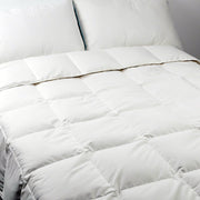 Oversize Plush Down Fiber Comforter All Season