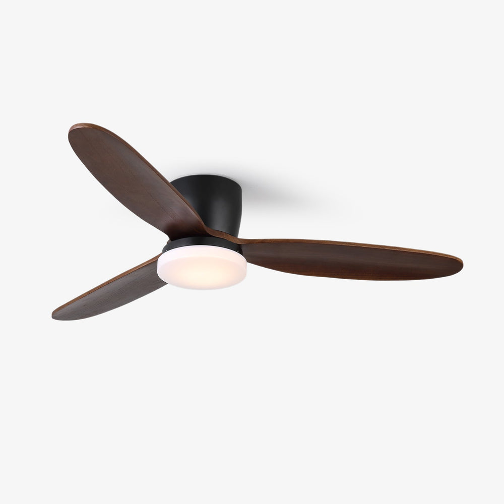Nocturnus Ceiling Fan Light
