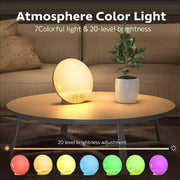 Sleepwyn Morning Glow Alarm