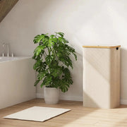 Sleepwyn Large Foldable Laundry Basket with Lid