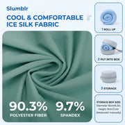 Sleepwyn Portable Neck Support Travel Pillow