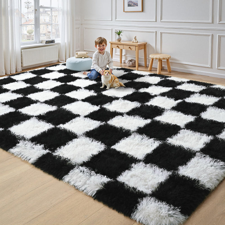 Sleepwyn Checkered Area Rug