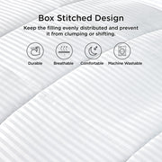 Sleepwyn Ultra Soft Down Alternative Summer Comforter
