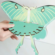 Luna Moth Wall Display Shelf
