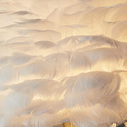 Luxury Feather Crystal Pendant Accents Floor Lamp