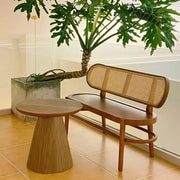 Modern Rattan-Back Wooden Bench for Stylish Home Décor