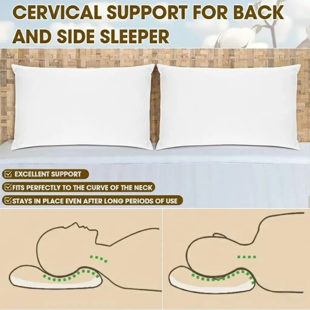 Sleepwyn Buckwheat Pillow