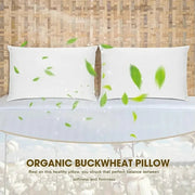 Sleepwyn Buckwheat Pillow