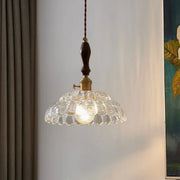 Vintage Brown Rounded Dome Clear Glass Pendant Light