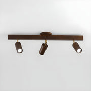 Wood Track Adjustable Semi-Flush Mount Lamp